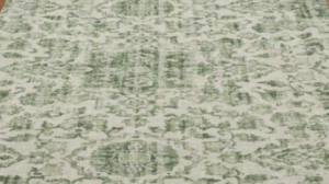 BBJ- Sub Rental Ezra Lichen 108 x 156 rental Fresno-Armona, CA