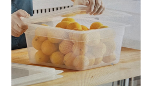 Catering Half Pan 6 " Deep with Lid rental Fresno-Armona, CA