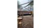 20' X 40' | Clear Top - Frame Tent | 800 sq.ft rental in New Orleans, LA