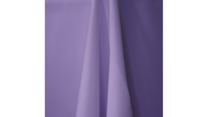 Napkin -Amethyst rental Orlando, FL