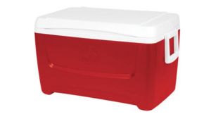 Ice Chest / Small rental New Orleans, LA