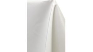 Napkin - Oyster rental Orlando, FL