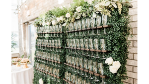 Champagne Wall w/weights rental New Orleans, LA