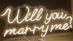 Will you marry me? 23" LED Light up Neon Sign rental New Orleans, LA