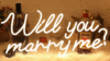 Will you marry me? 23" LED Light up Neon Sign rental in New Orleans, LA