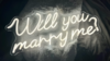 Will you marry me? 23" LED Light up Neon Sign rental in New Orleans, LA