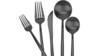 Black Dinner Spoon rental in Greater Northern Michigan, MI