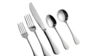 Silver Salad Fork rental in Greater Northern Michigan, MI