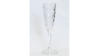 Ivy Champagne Flute rental in Greater Northern Michigan, MI