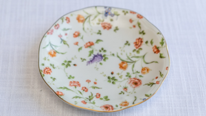 Janet B&B Plate rental Greater Northern Michigan