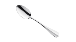 Silver Serving Spoon rental Greater Northern Michigan