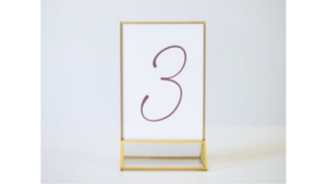 Gold Frame Number Holder rental Greater Northern Michigan