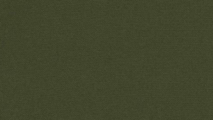 Dark Olive Cotton Poly 90x156 rental Greater Northern Michigan