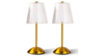 Cordless Table Lamp rental in Greater Northern Michigan, MI