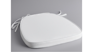 Bentwood White Chair Cushion rental Greater Northern Michigan