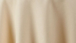 Textured Ivory 90x156 rental Greater Northern Michigan