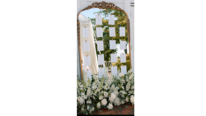 Gold Escort Mirror rental Greater Northern Michigan