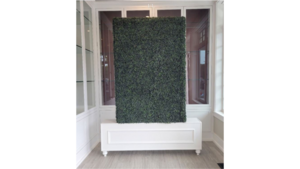 4 Foot Boxwood Wall  rental Greater Northern Michigan
