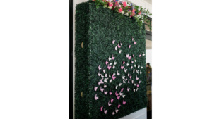 6 Foot Boxwood Wall  rental Greater Northern Michigan