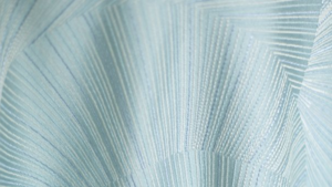 Abanico Blue Napkin  rental Greater Northern Michigan