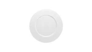 Archie Clear Charger  rental Greater Northern Michigan