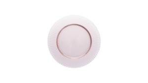 Archie Blush Charger  rental Greater Northern Michigan