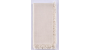 Ivory Fringe Napkin  rental Greater Northern Michigan