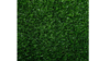 Turf rental in Lafayette, LA