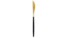 Black Handle Golden Knife rental in Fort Collins-Loveland, CO