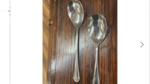 Stainless Steel Serving spoon 11 1/2 rental Fort Collins-Loveland, CO