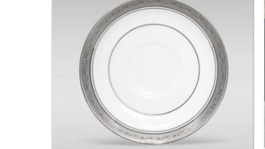 American White Platinum saucer /  rental Fort Collins-Loveland, CO