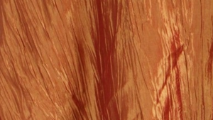 Crinkle Taffeta - Fire Orange 230 - Napkin rental San Antonio, TX