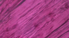 Crinkle Taffeta - Magenta 646 - Napkin rental in San Antonio, TX