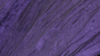 Crinkle Taffeta - Purple 1032 - Napkin rental in San Antonio, TX