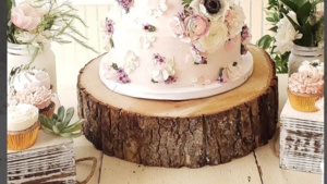 Faux wood slice Round cake stand  rental Fort Collins-Loveland, CO