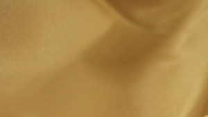Lamour Matte Satin - Gold 226 - 108 Rnd rental San Antonio, TX