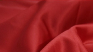Lamour Matte Satin - Fiesta Red 647 - 18 x 120 ... rental San Antonio, TX