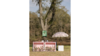 White Wooden Planter Box, Square rental in Lafayette, LA