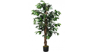 Variety Staging Trees rental Fort Collins-Loveland, CO