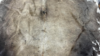 5x8 Black and White Cow Hide Rug rental in Fort Collins-Loveland, CO