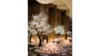 Illuminated White LED Tree  rental in Fort Collins-Loveland, CO