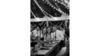 Clear Crystal Sail Tide Water Tent 44 by 103  rental in Fort Collins-Loveland, CO