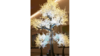 Illuminated Tree rental in Fort Collins-Loveland, CO