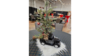 132" Christmas Hunter Green Scottish Plaid Linen rental in Fort Collins-Loveland, CO