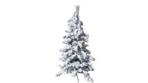 Christmas Tree with White Snow Frost  rental Fort Collins-Loveland, CO