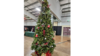 Pre-Lit Christmas Tree  rental in Fort Collins-Loveland, CO