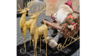 Christmas Table Center Piece rental in Fort Collins-Loveland, CO