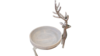 Christmas Silver Reindeer rental in Fort Collins-Loveland, CO