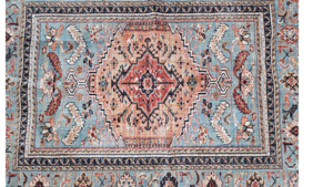 Orange Primary Rug  rental Fort Collins-Loveland, CO