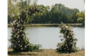 Large Harmony Arch  rental in Fort Collins-Loveland, CO
